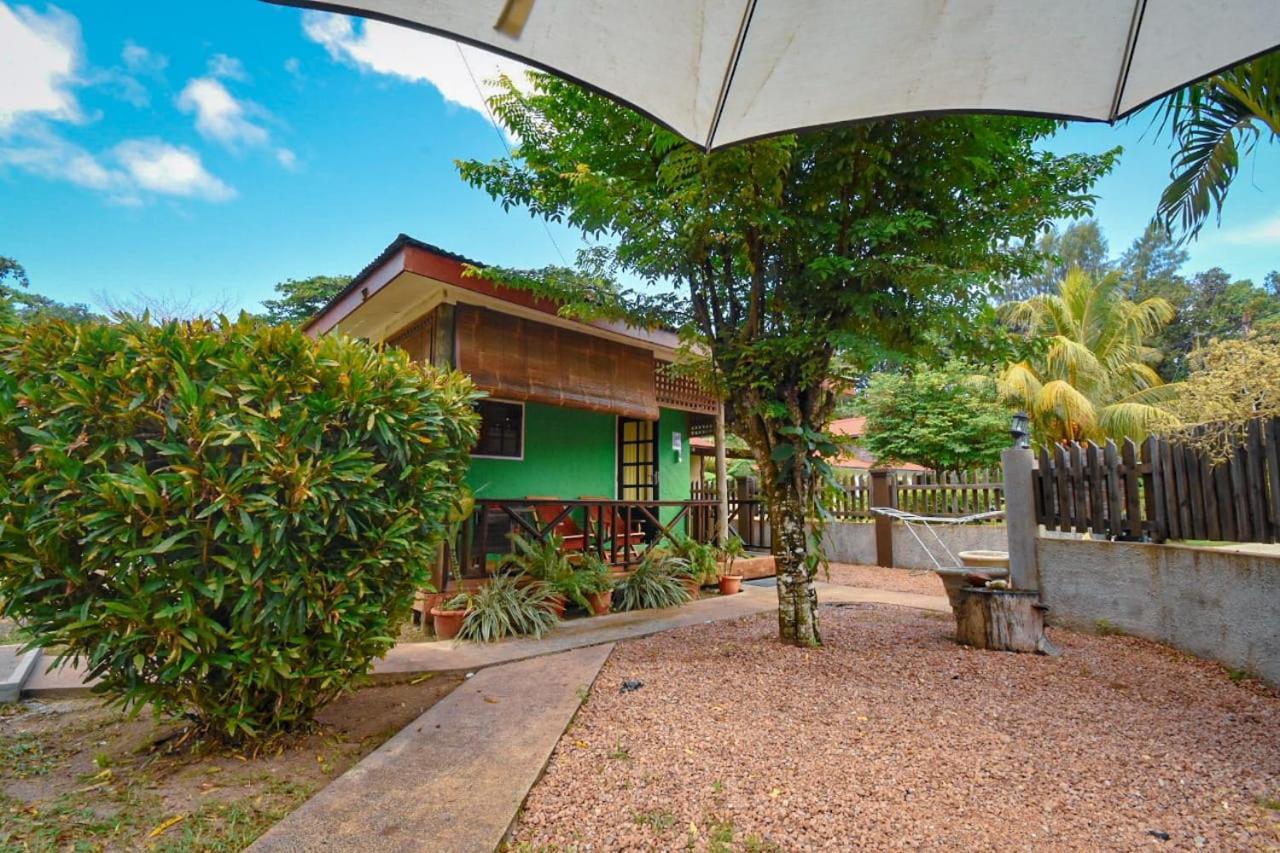 Fern Lodge Self Catering Ла-Діг Екстер'єр фото