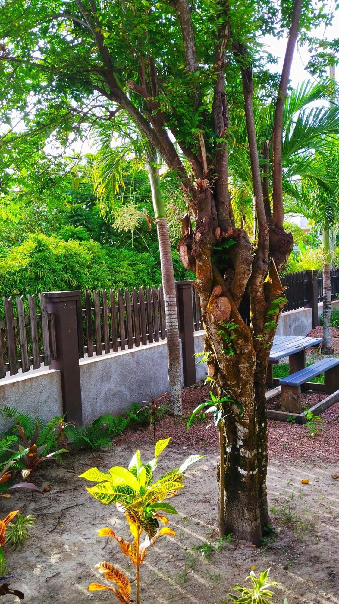 Fern Lodge Self Catering Ла-Діг Номер фото